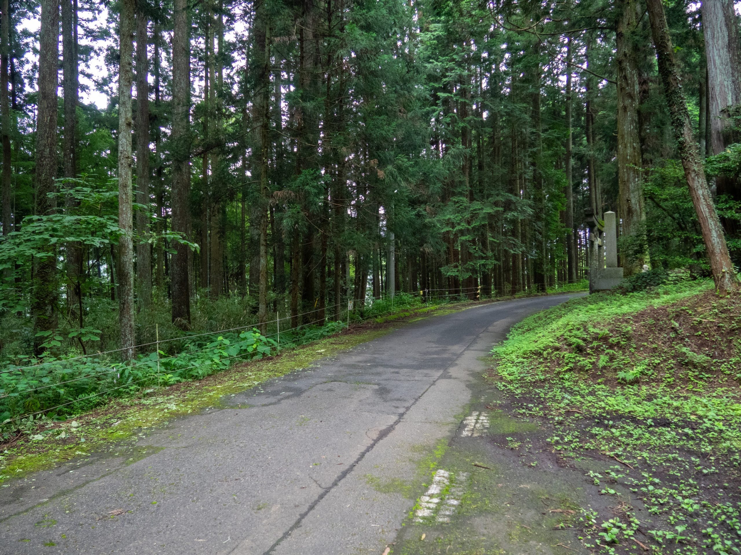 西澤神社の向かい側に学校があったと言われる。